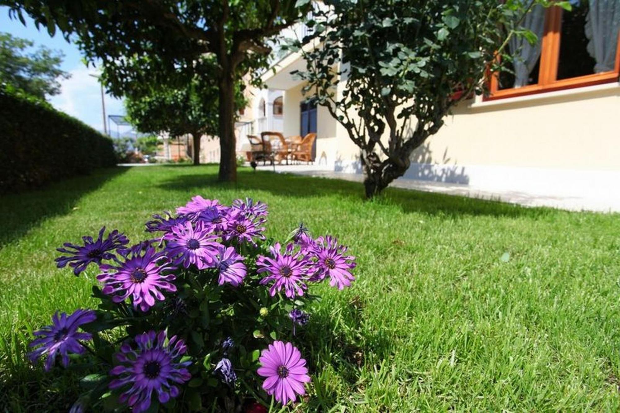 Antares Apartments Cavtat Kültér fotó